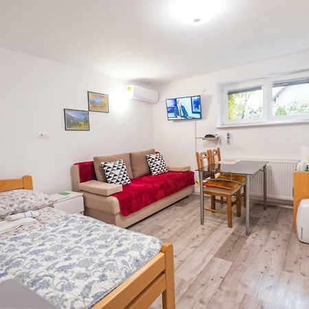 Newly Renovated Studio With Air Conditioner & Free Parking Ljubljana Extérieur photo